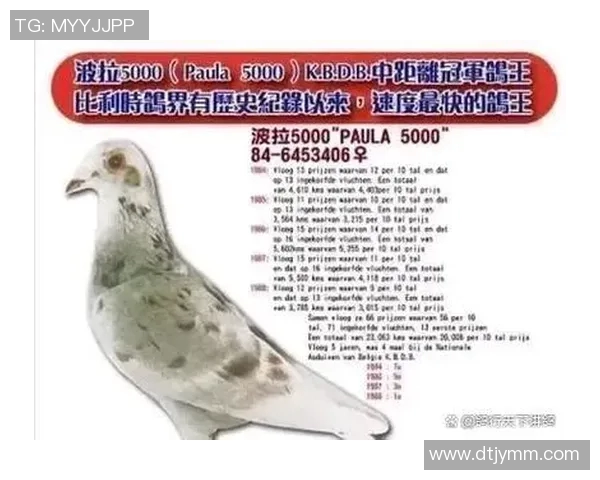 全球体育明星历史地位排名揭晓各领域传奇人物的影响力与成就分析